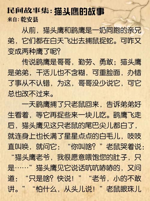 猫头鹰阅读答案三年级缩略图