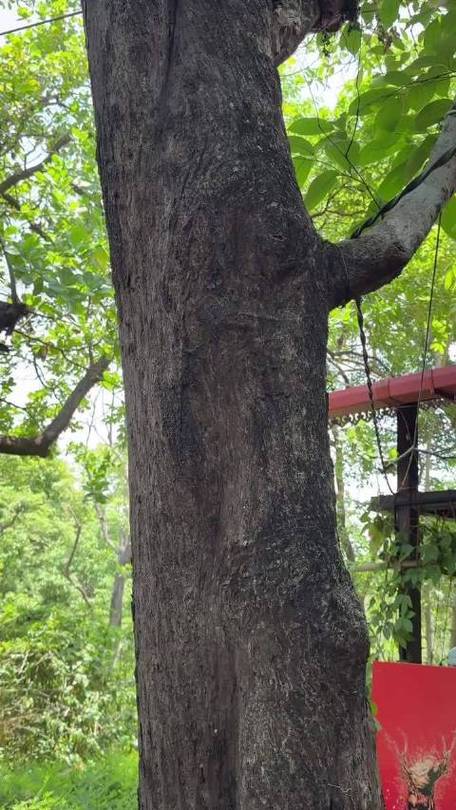 躲猫猫内置MOD菜单游戏截图