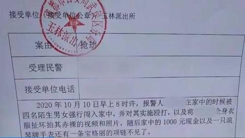 报警后警察处理流程游戏截图