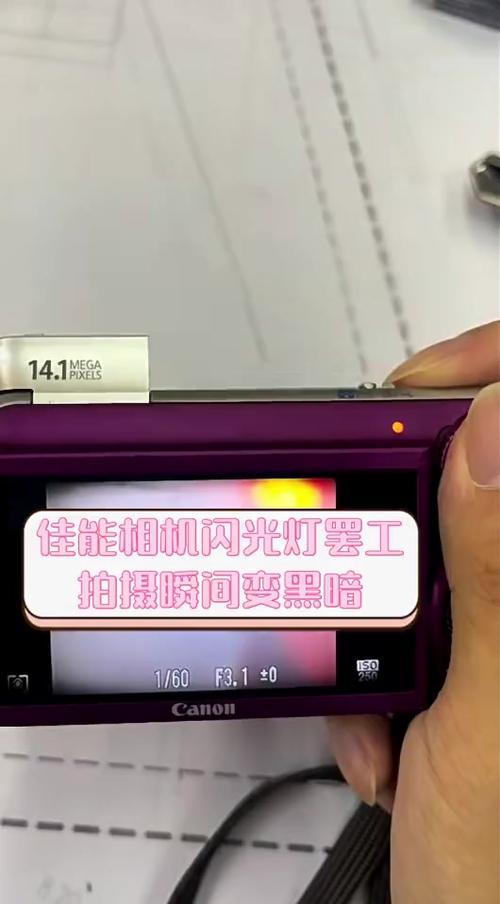 佳能闪光灯弹不起来游戏截图