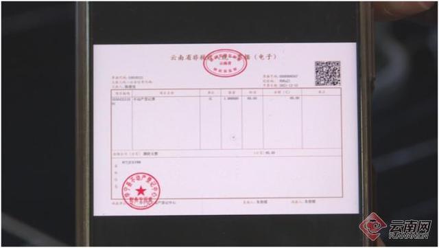 云南非税缴费缩略图