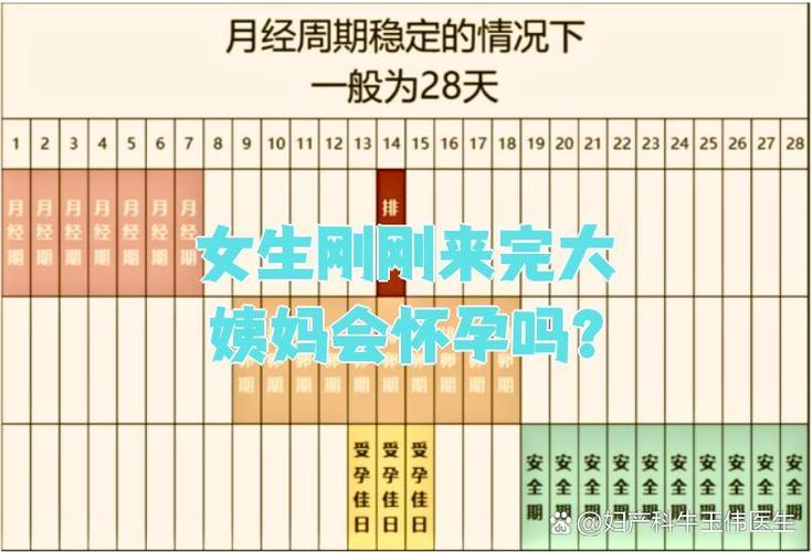 怀孕会不会来月经缩略图