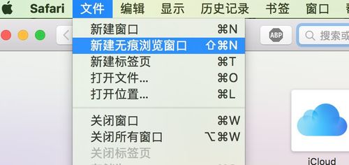 怎么关闭safari无痕浏览模式缩略图