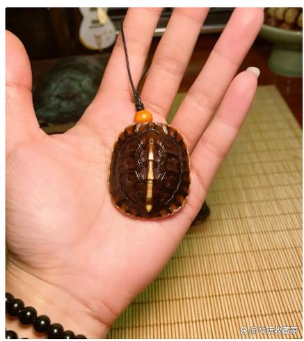 文玩龟壳腥味怎么去除缩略图