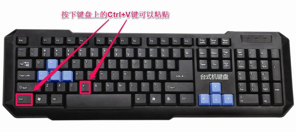 电脑复制粘贴功能在哪里缩略图