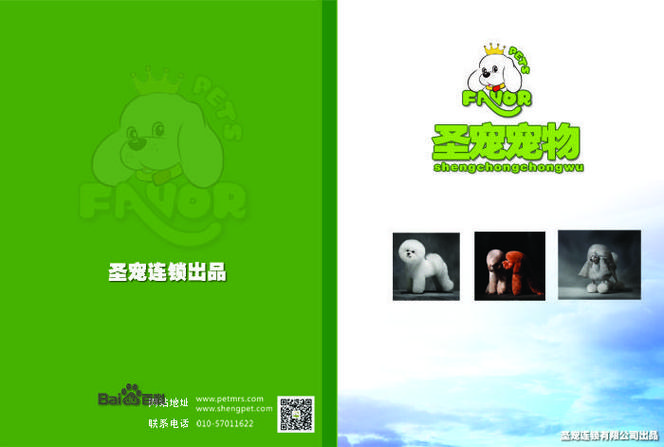 狗狗书籍TXT缩略图
