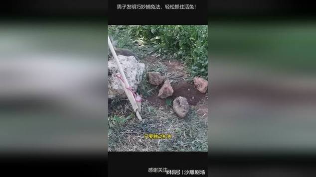 驱野兔最有效的方法游戏截图