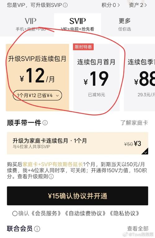 非全屏连续包月是什么图标