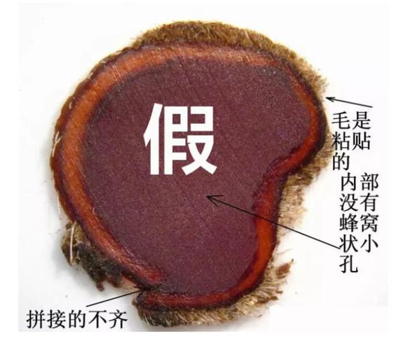 鹿茸片真假对照图缩略图