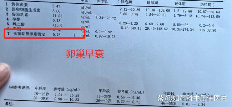 雌激素正常值范围缩略图
