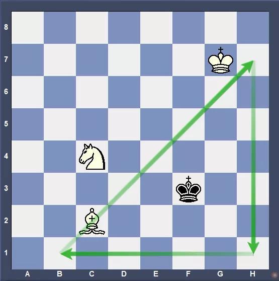 国际象棋马象杀王游戏截图