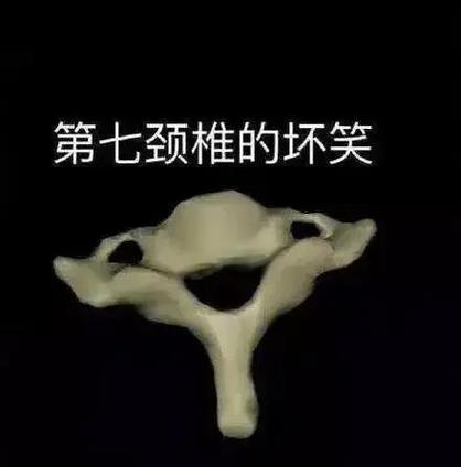 负背包 颈椎缩略图