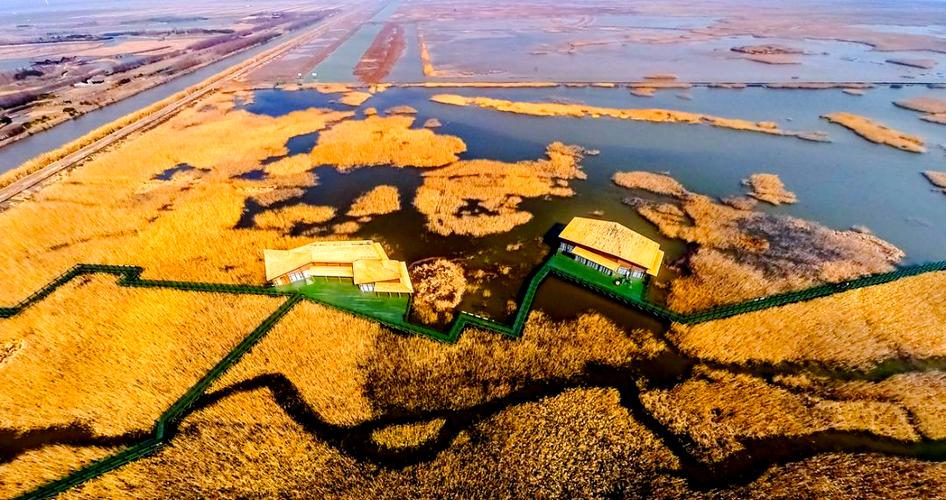 我国第三大岛屿是崇明岛游戏截图