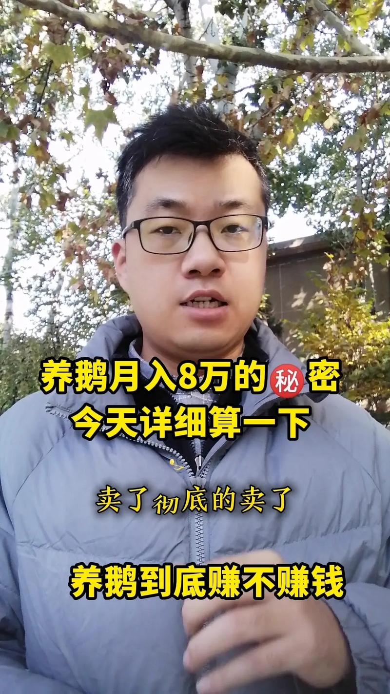 养殖鹅一只鹅的利润一年多少缩略图