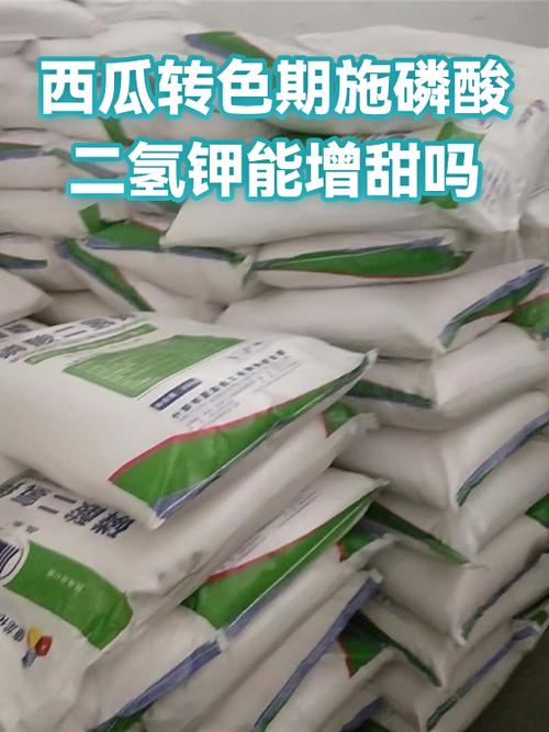 西瓜转靠谱吗缩略图