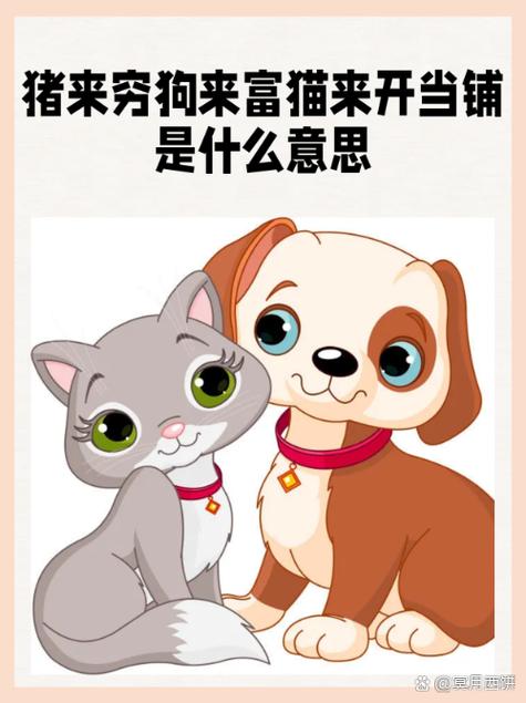 抢猫赚钱是真是假图标