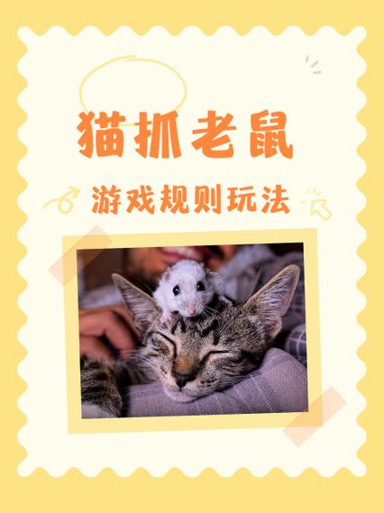 猫抓娃娃游戏攻略缩略图