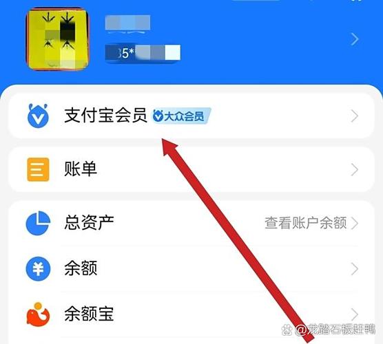 开通支付宝会员收费吗缩略图