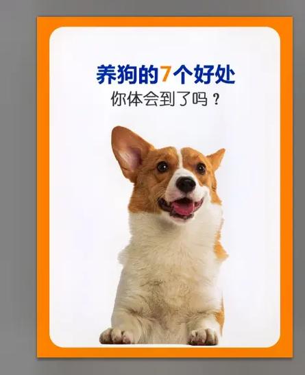 公共区域养狗找谁投诉