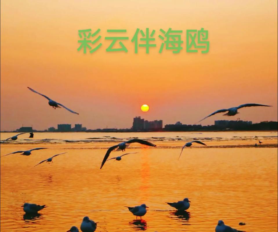 彩云伴海鸥最经典十句话缩略图
