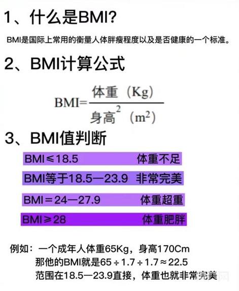 标准体重计算公式在线计算游戏截图