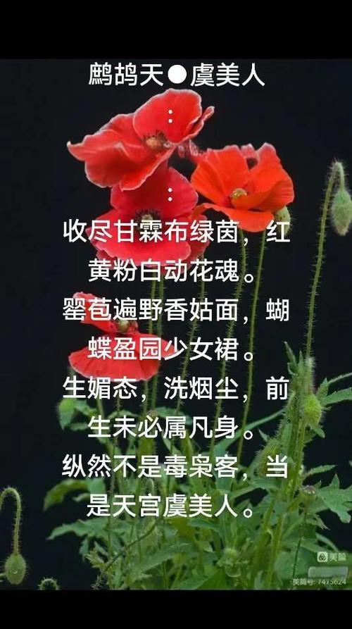 虞美人的情感缩略图