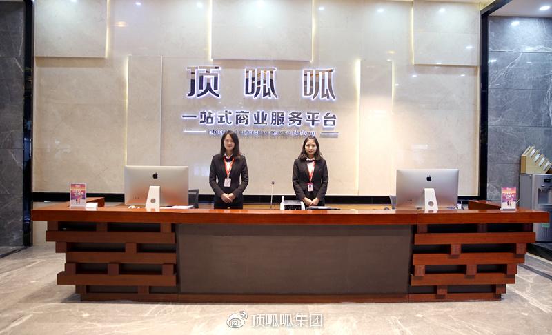 顶呱呱一站式企业服务平台游戏截图