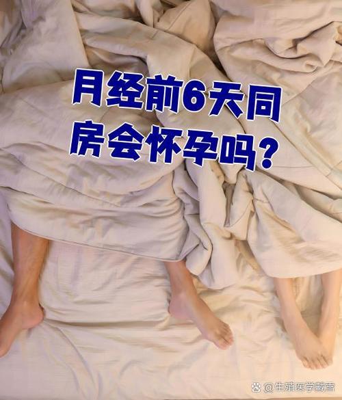 月经前几天同房会怀孕吗游戏截图