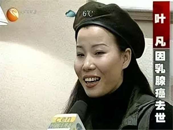 乡村美色叶凡小说缩略图