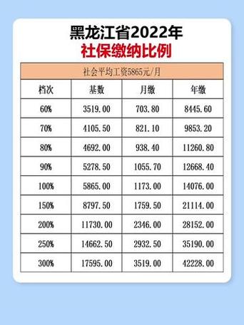 黑龙江税务社保费缴纳小程序图标