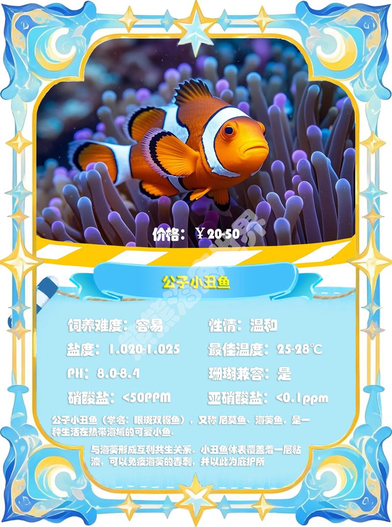 小丑鱼价格一般多少钱缩略图