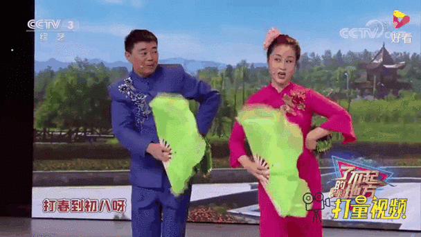 孙文学小豆豆传统二人转缩略图