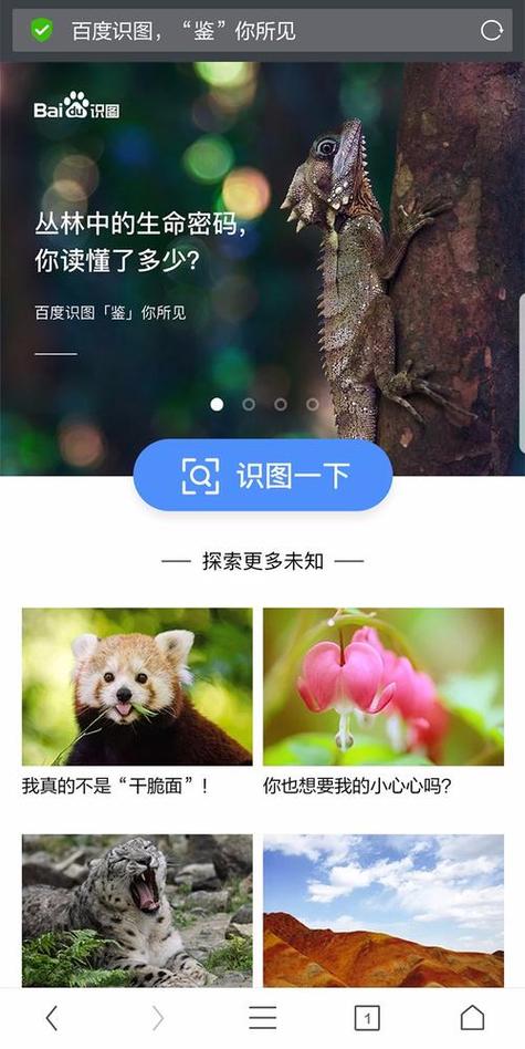 百度识图网页版游戏截图