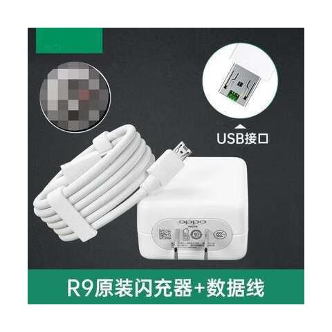 R11是快充还是闪充游戏截图
