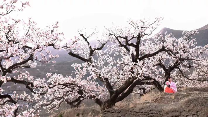 信花平台靠谱吗缩略图