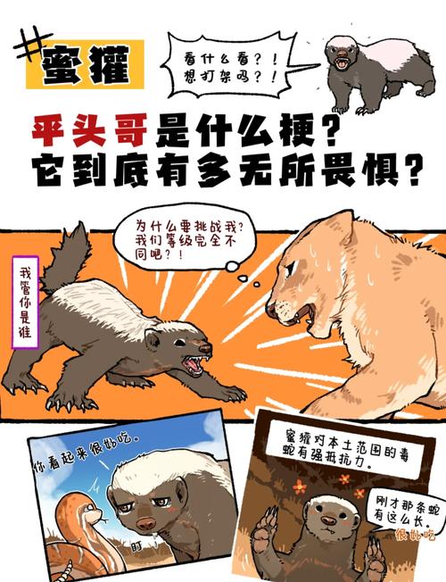 密罐快递管家app安装教程缩略图