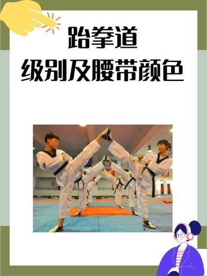 跆拳道考级收费490元贵吗缩略图