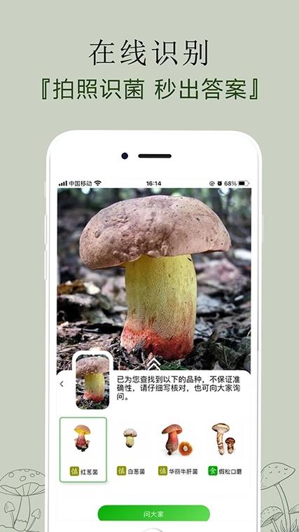 怎样辨别毒蘑菇和无毒蘑菇游戏截图