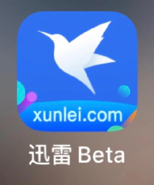 迅雷开了会员比不开还要慢缩略图