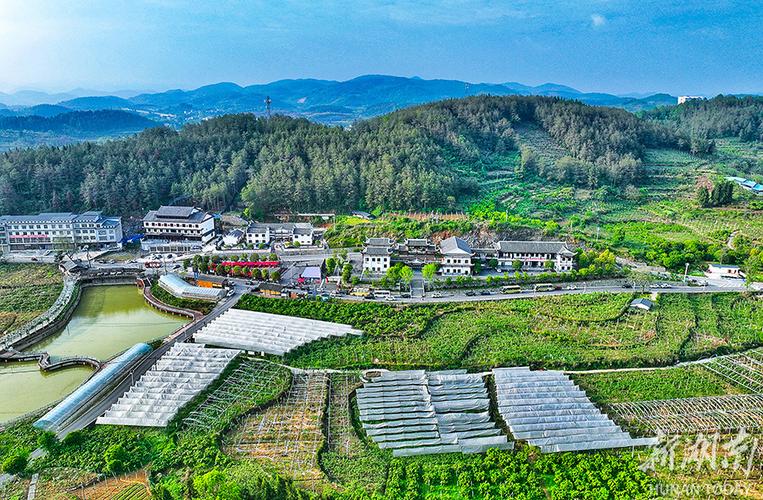 下载种菜赚钱软件缩略图