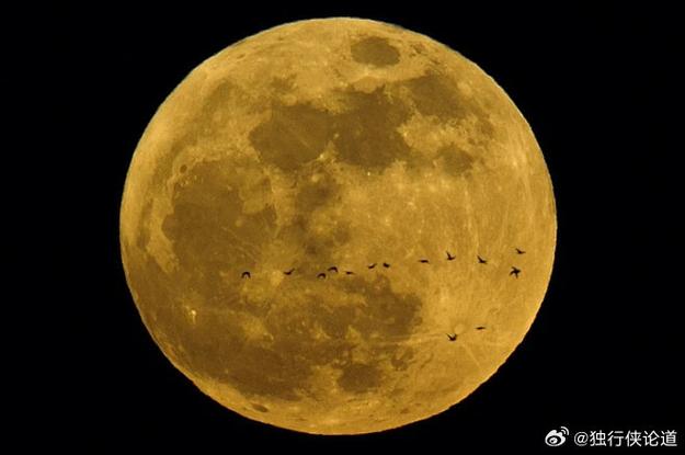 华为p30pro月亮模式缩略图