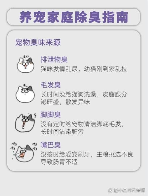 室内养猫如何防止臭味缩略图