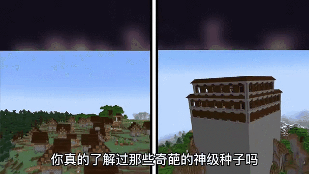 我的世界三大稀有种子缩略图
