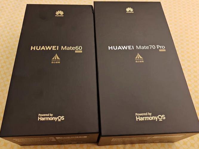 华为mate70pro突然变黑白游戏截图