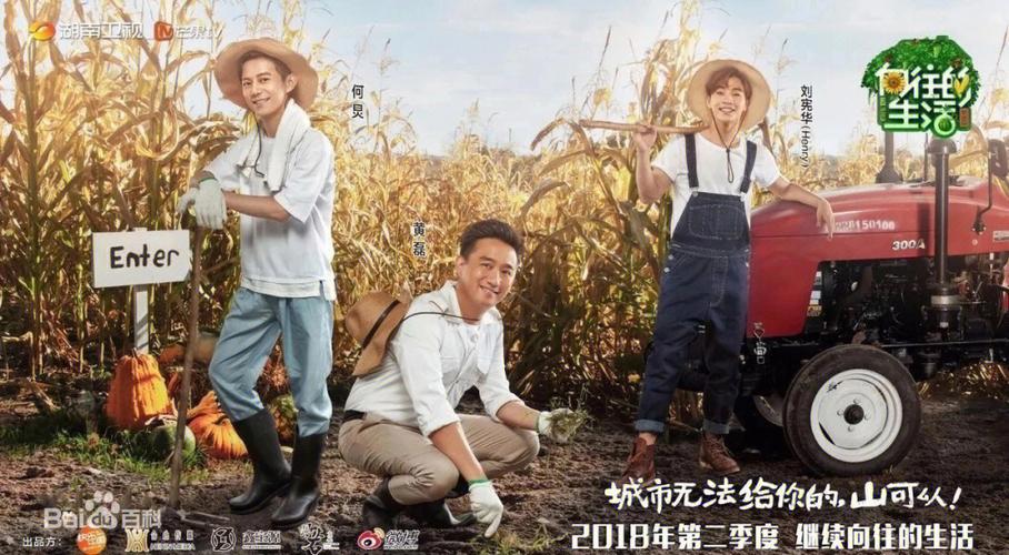 向往的生活之征服系统图标