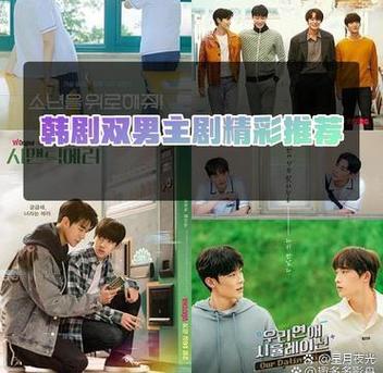 韩剧双男主电视剧推荐缩略图