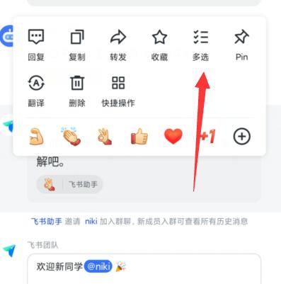 飞书聊天记录保存多久缩略图
