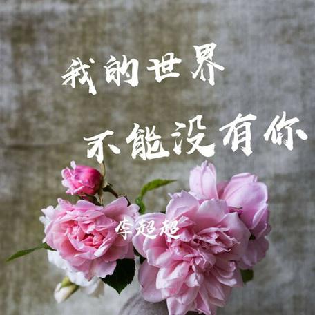 歌曲我的世界不能没有你游戏截图