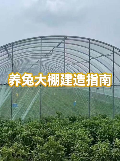 兔子养殖大棚游戏截图