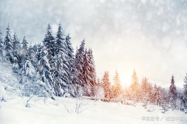 形容瑞雪的优美句子缩略图